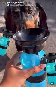 Botella de agua portátil para mascota