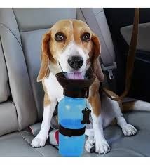 Botella de agua portátil para mascota